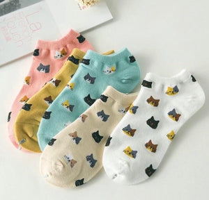 lolliesocks kitten lovers