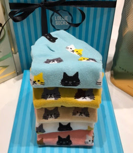 lolliesocks kitten lovers