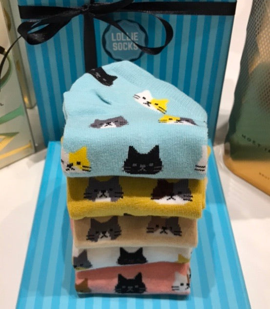 lolliesocks kitten lovers